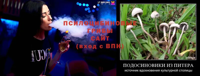 Галлюциногенные грибы Magic Shrooms  MEGA как зайти  Новая Ляля 